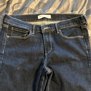 Banana Republic Indigo Denim Pants
